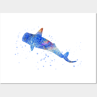 Blue Whale shark, Blue Whale Posters and Art